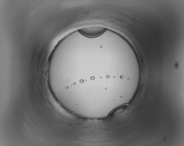 X0000116651526200912291605