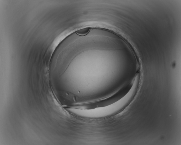 X0000116651529200912291605