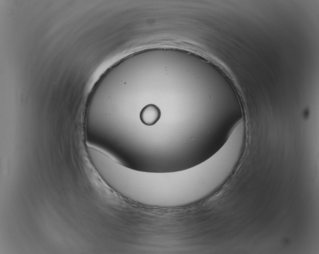 X0000116651530200912291605