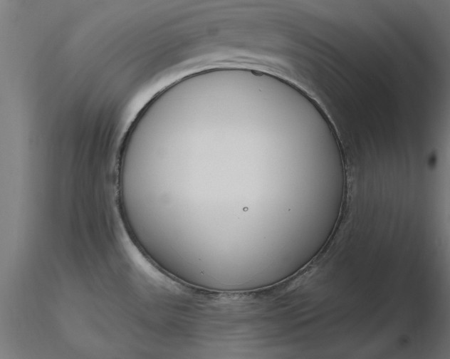 X0000116651531200912291605