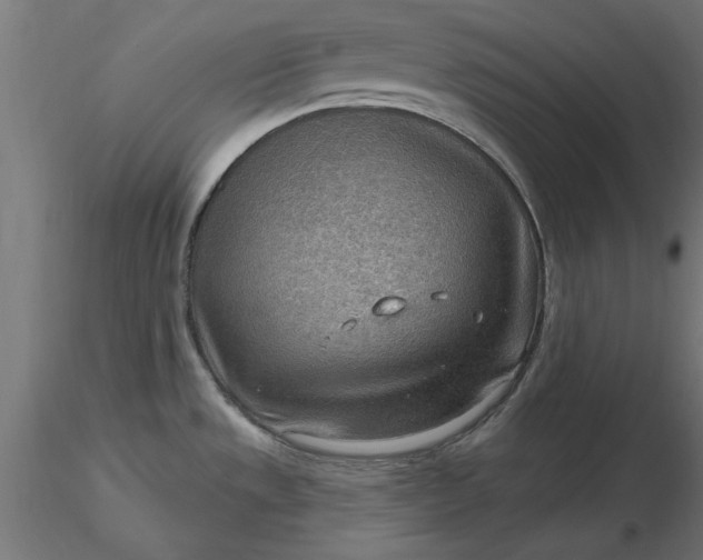 X0000116651533200912291605