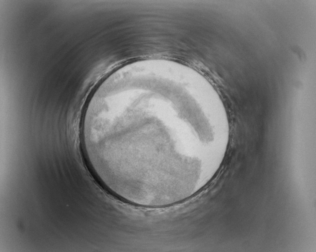 X0000116650002201001041059