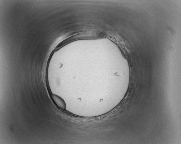 X0000116650003201001041059