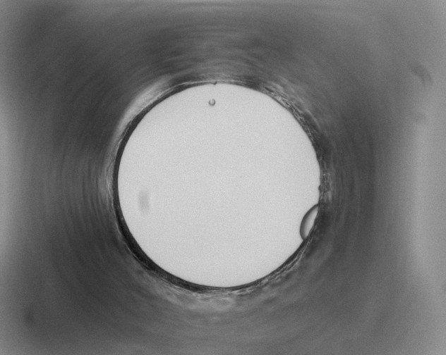 X0000116650004201001041059