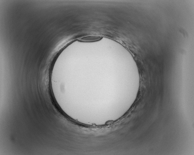 X0000116650005201001041059