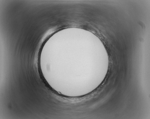 X0000116650006201001041059