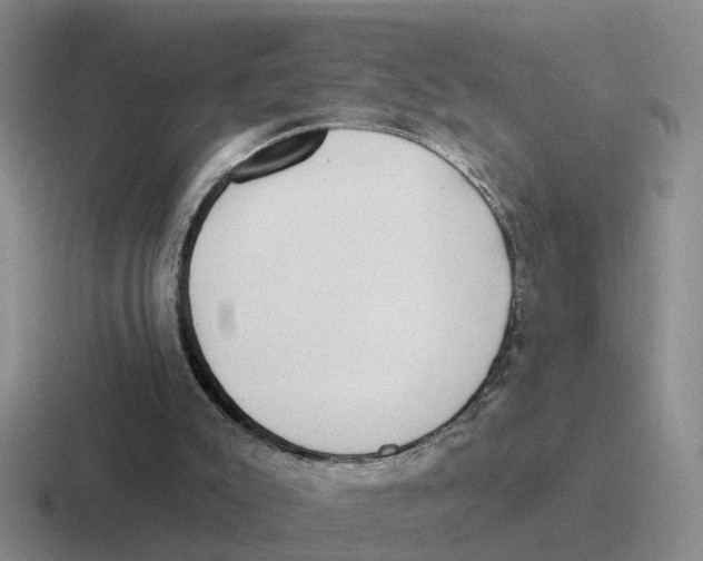 X0000116650007201001041059