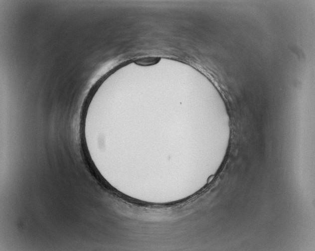 X0000116650008201001041059