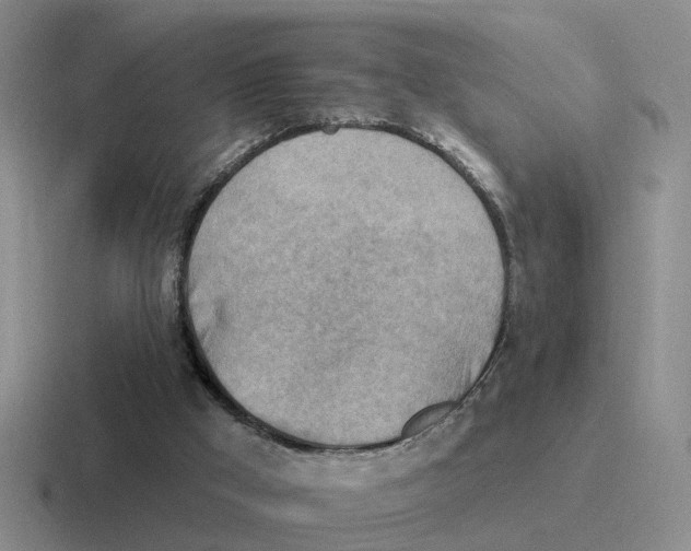 X0000116650009201001041059