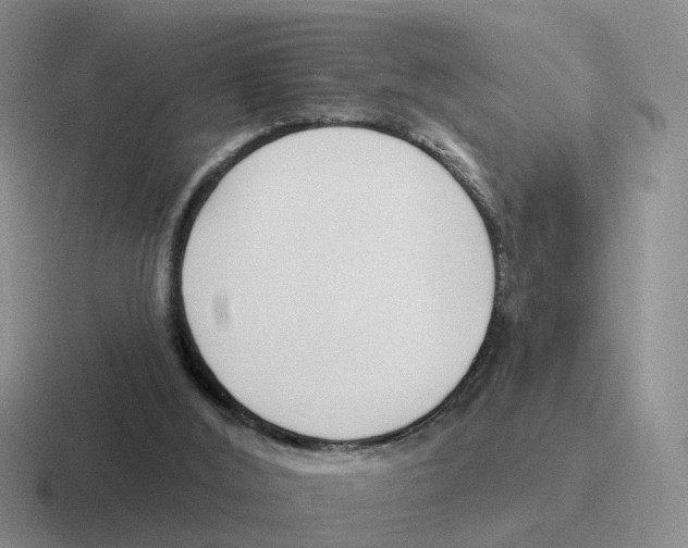 X0000116650012201001041059