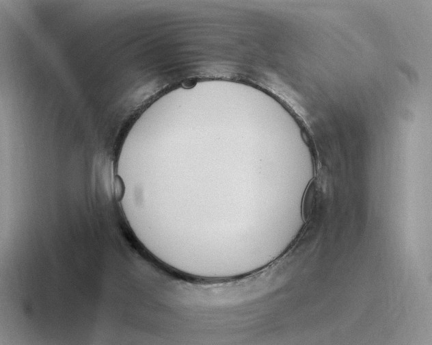 X0000116650013201001041059