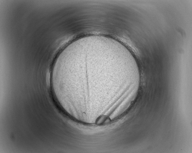 X0000116650014201001041059