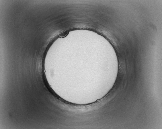 X0000116650015201001041059