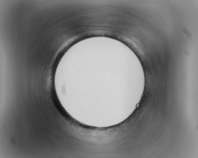 X0000116650016201001041059