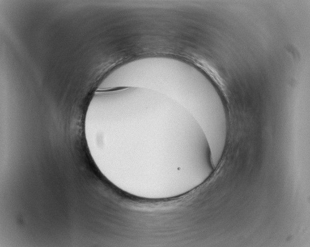 X0000116650017201001041059