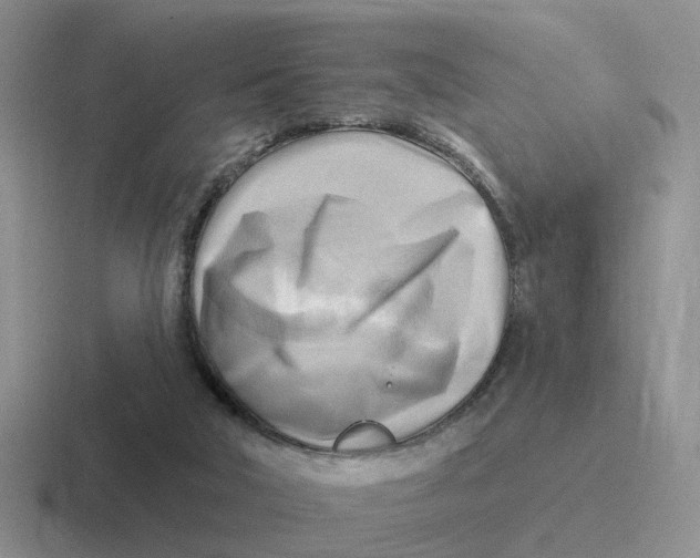 X0000116650018201001041059