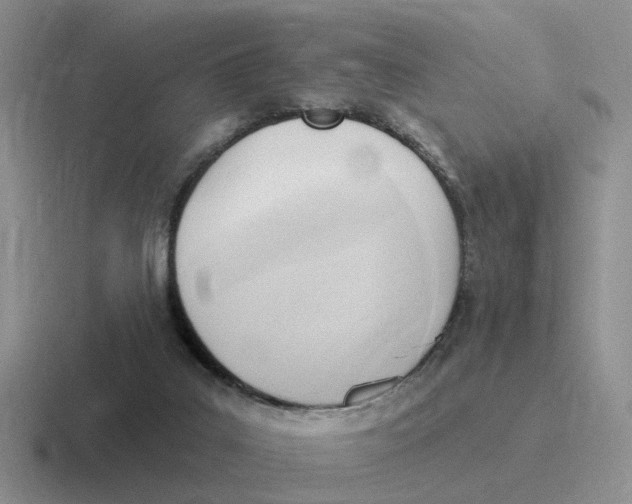 X0000116650019201001041059