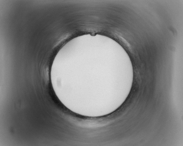 X0000116650020201001041059