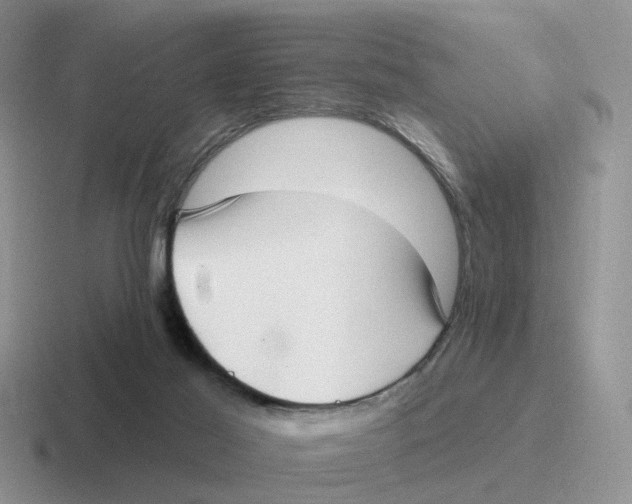 X0000116650021201001041059