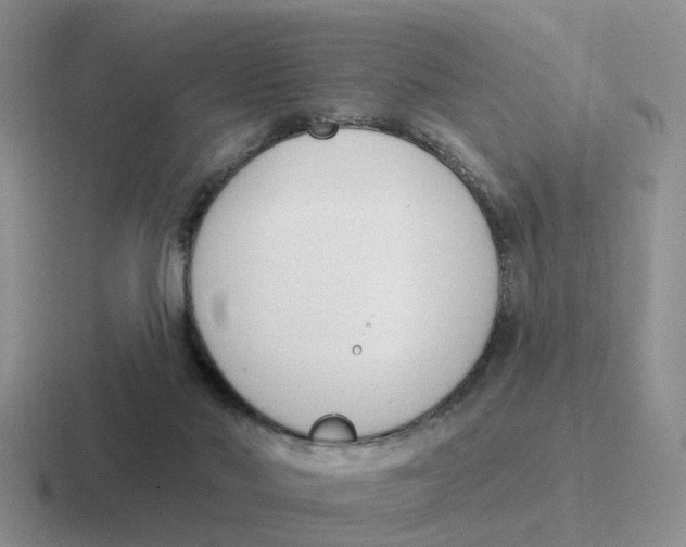 X0000116650022201001041059