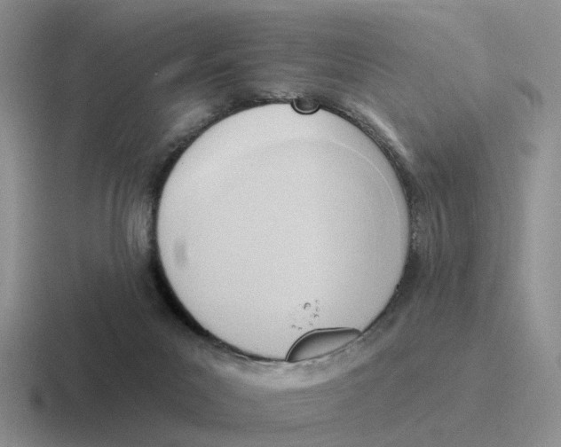 X0000116650023201001041059