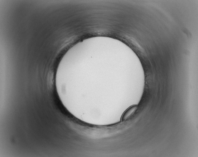 X0000116650024201001041059