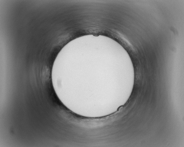 X0000116650025201001041059