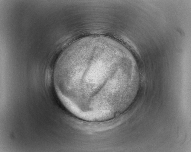 X0000116650026201001041059