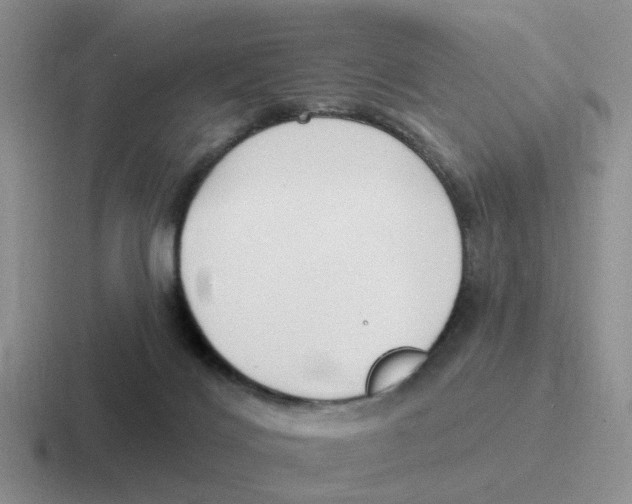 X0000116650028201001041059