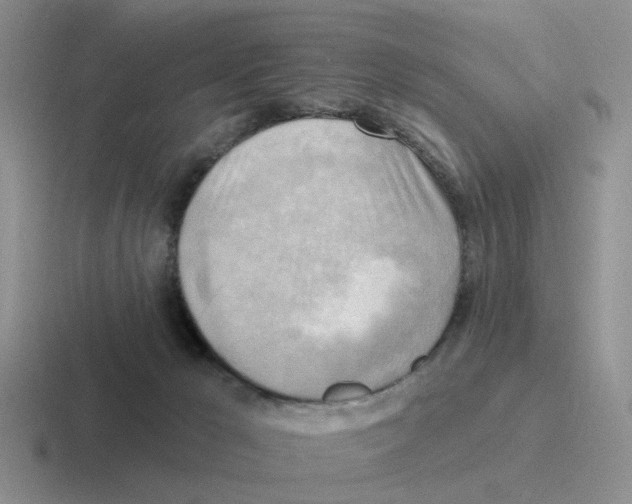 X0000116650029201001041059