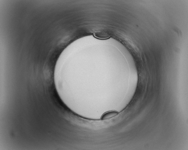 X0000116650031201001041059