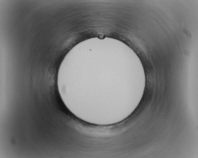 X0000116650032201001041059