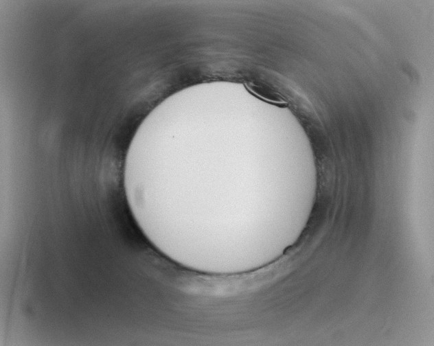 X0000116650033201001041059