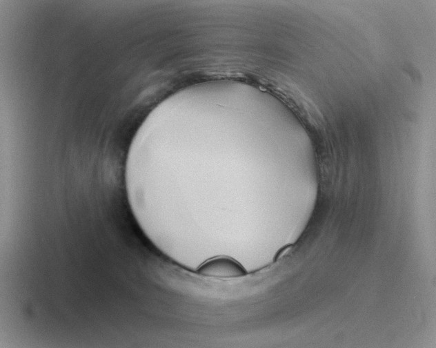 X0000116650035201001041059