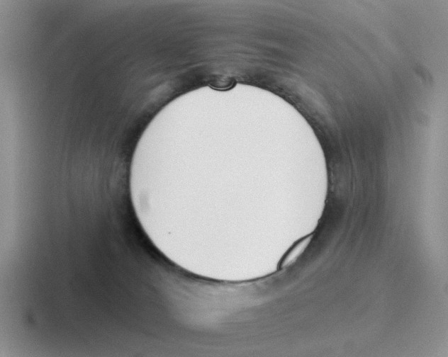 X0000116650036201001041059