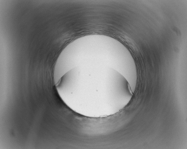 X0000116650037201001041059