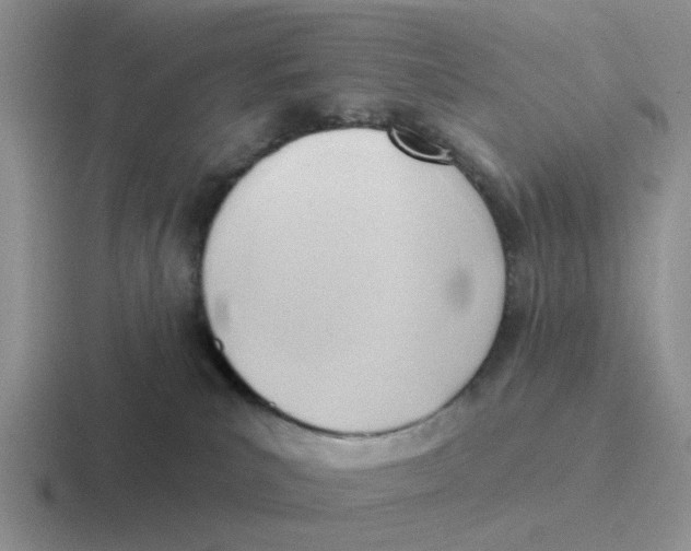 X0000116650039201001041059