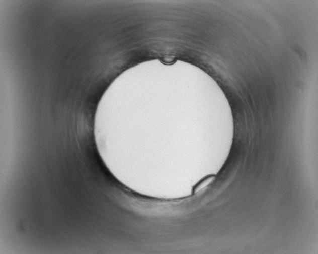 X0000116650040201001041059