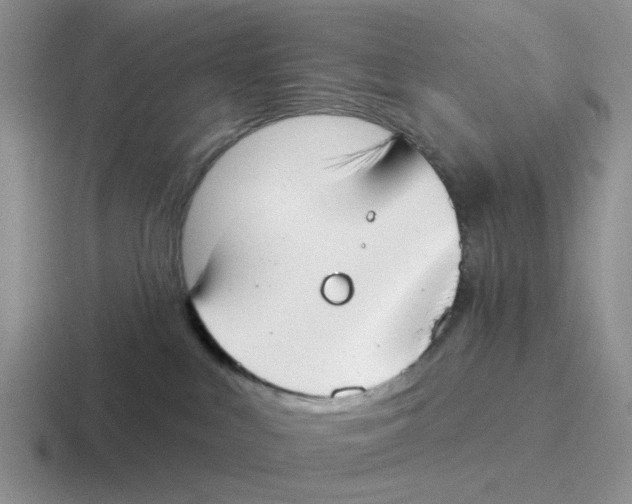 X0000116650043201001041059