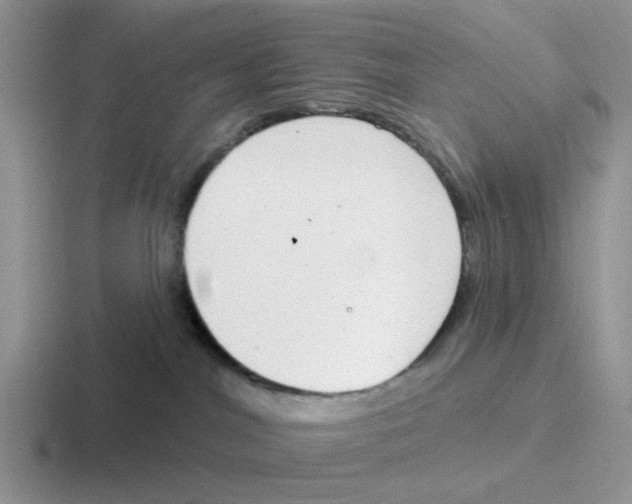 X0000116650044201001041059