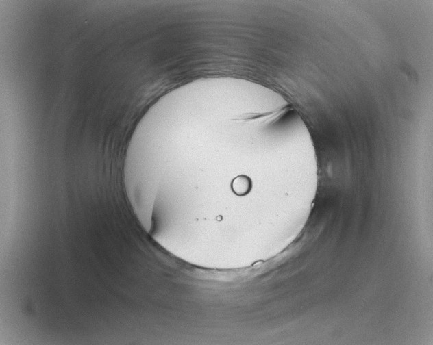 X0000116650045201001041059