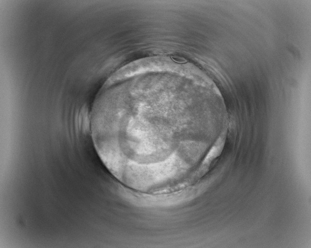 X0000116650046201001041059