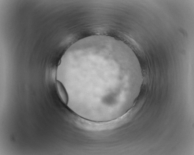 X0000116650047201001041059