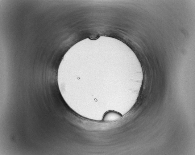 X0000116650048201001041059