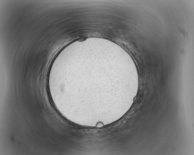 X0000116650049201001041058