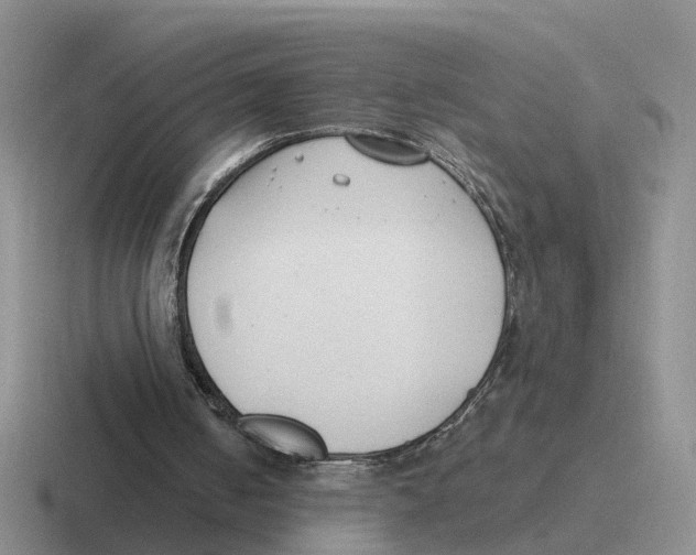 X0000116650050201001041058