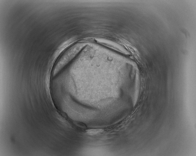 X0000116650051201001041058