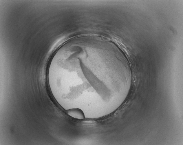 X0000116650053201001041058