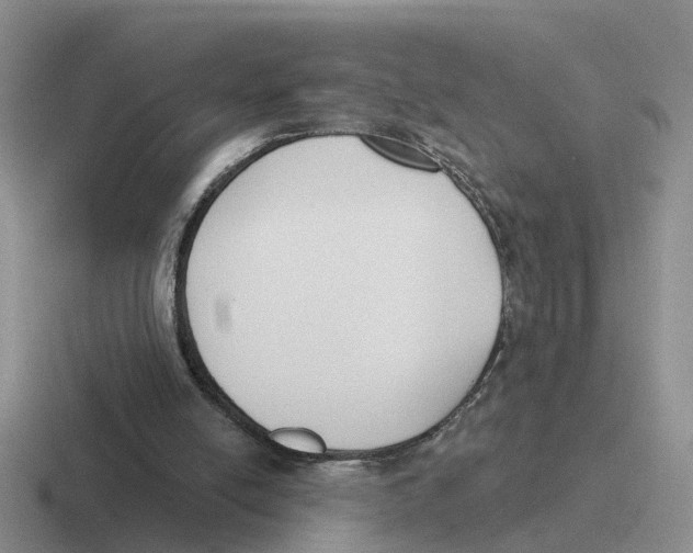 X0000116650054201001041058