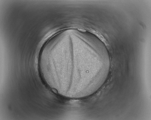 X0000116650055201001041058